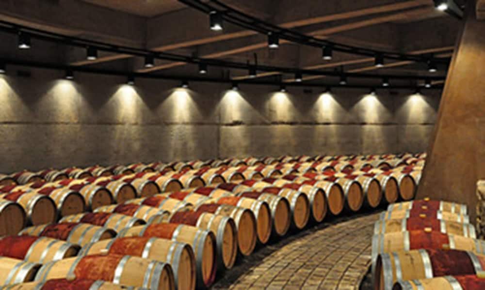 Фото Apart Hotel San Lorenzo