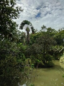 Фото Sepilok Jungle Resort