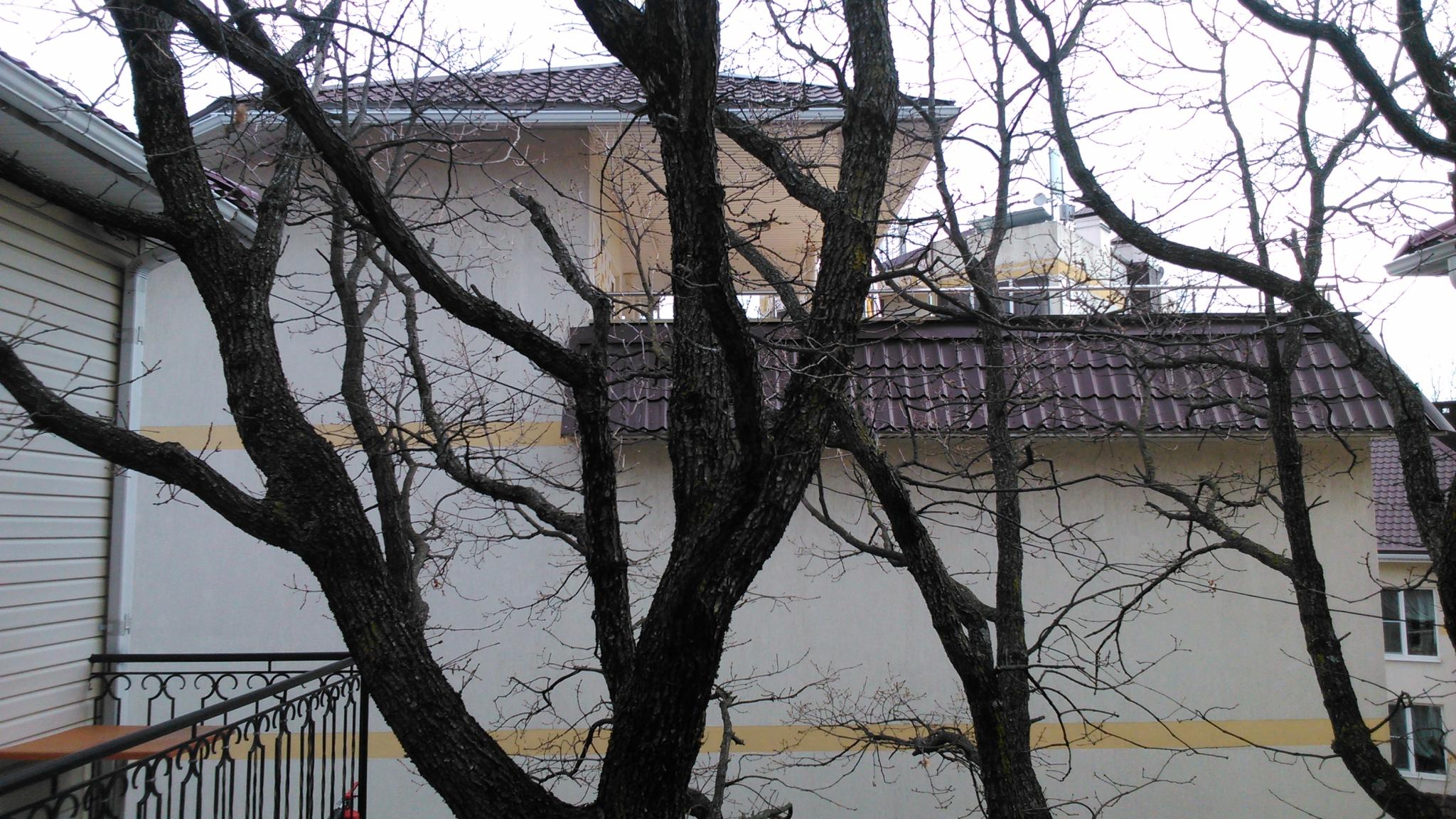 Фото Лукоморье