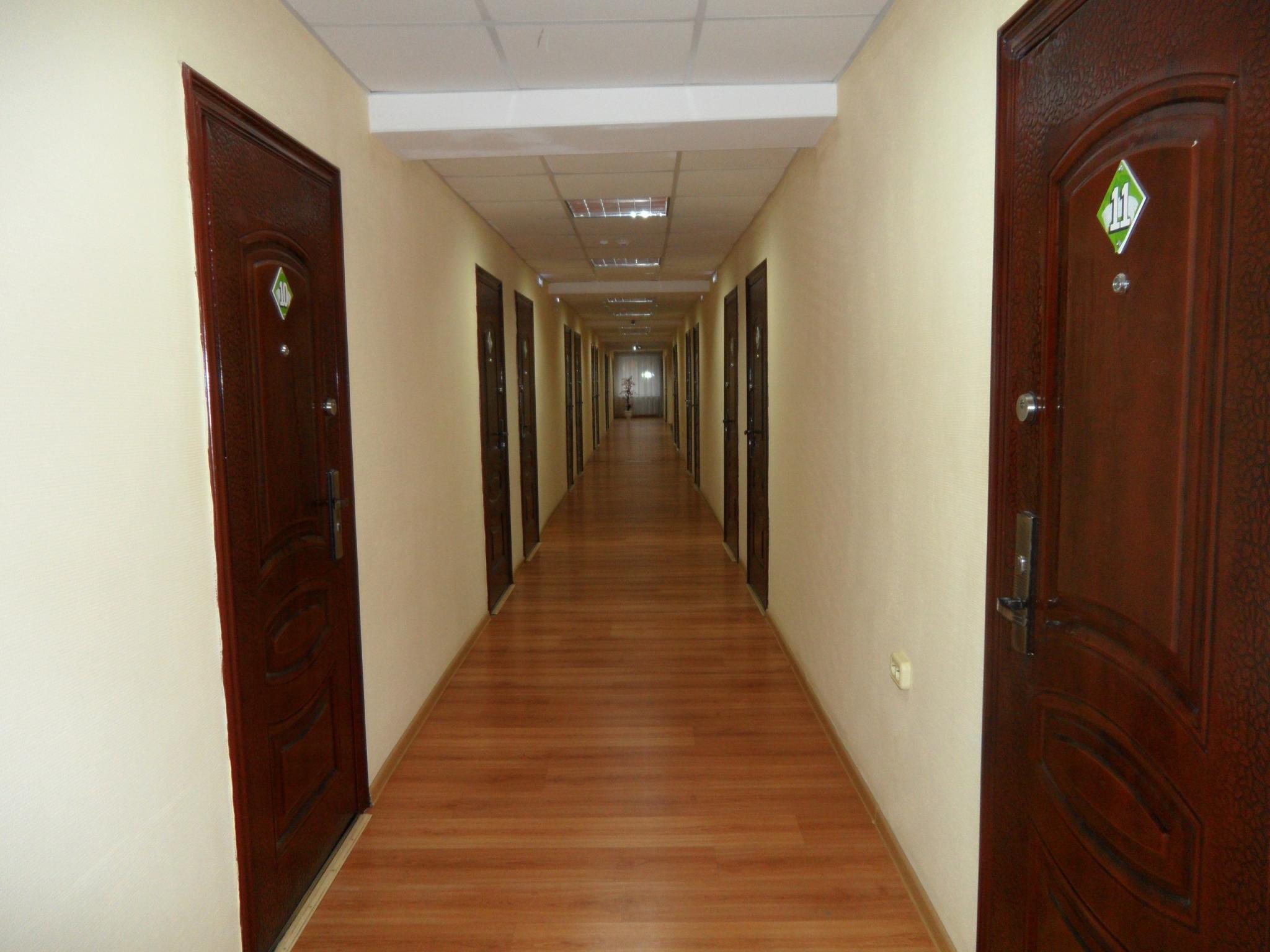 Фото Березка