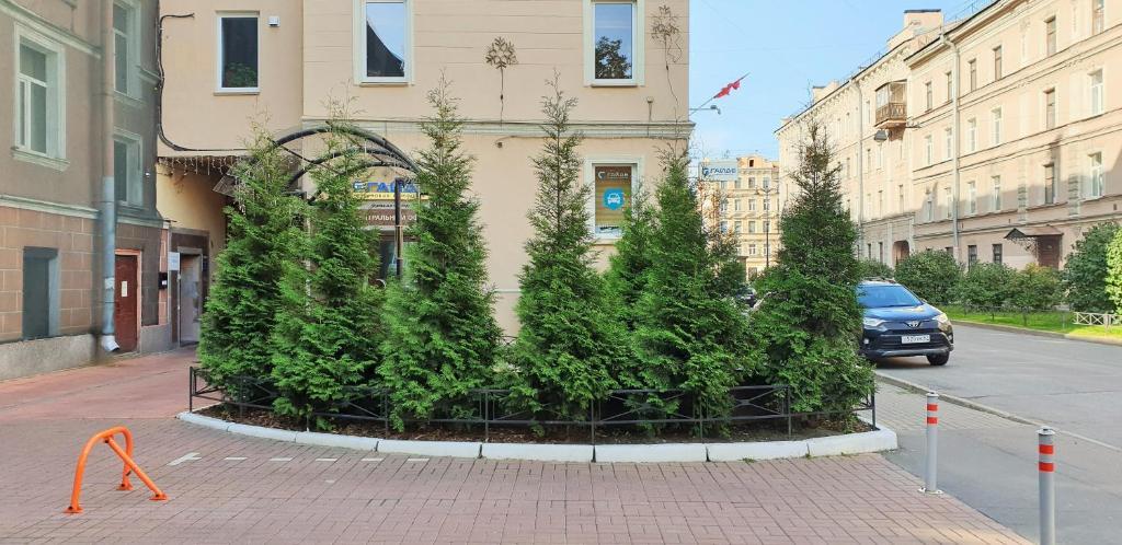 Фото Маэстро