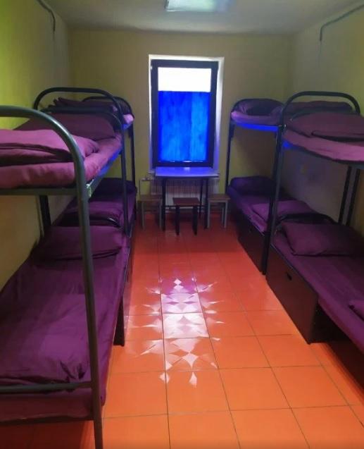 Фото Вежливый Лось