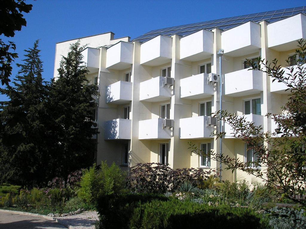 Фото Альбатрос