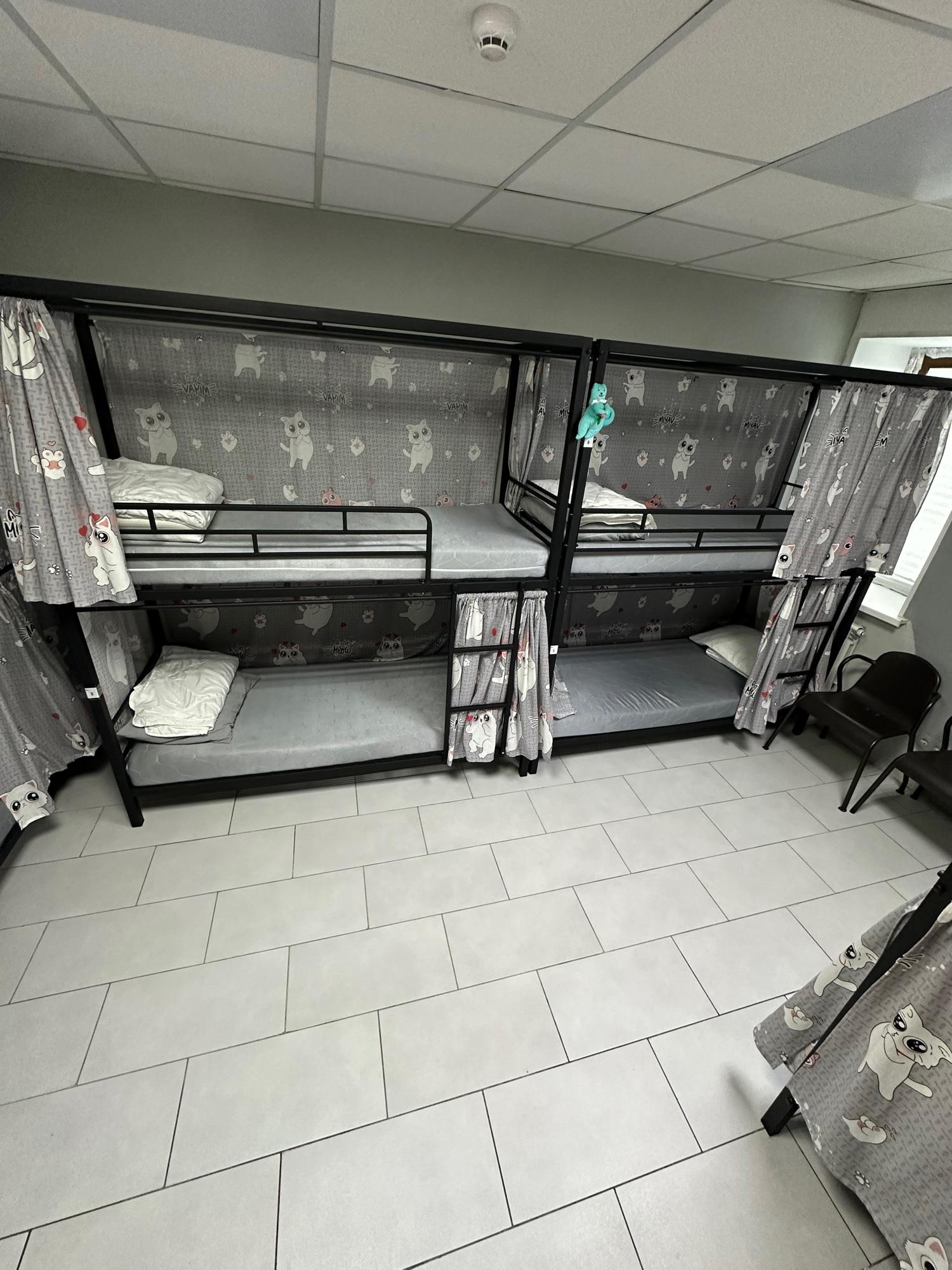 Фото Кот на крыше