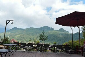 Гостиница Sapa Jungle в Шапе