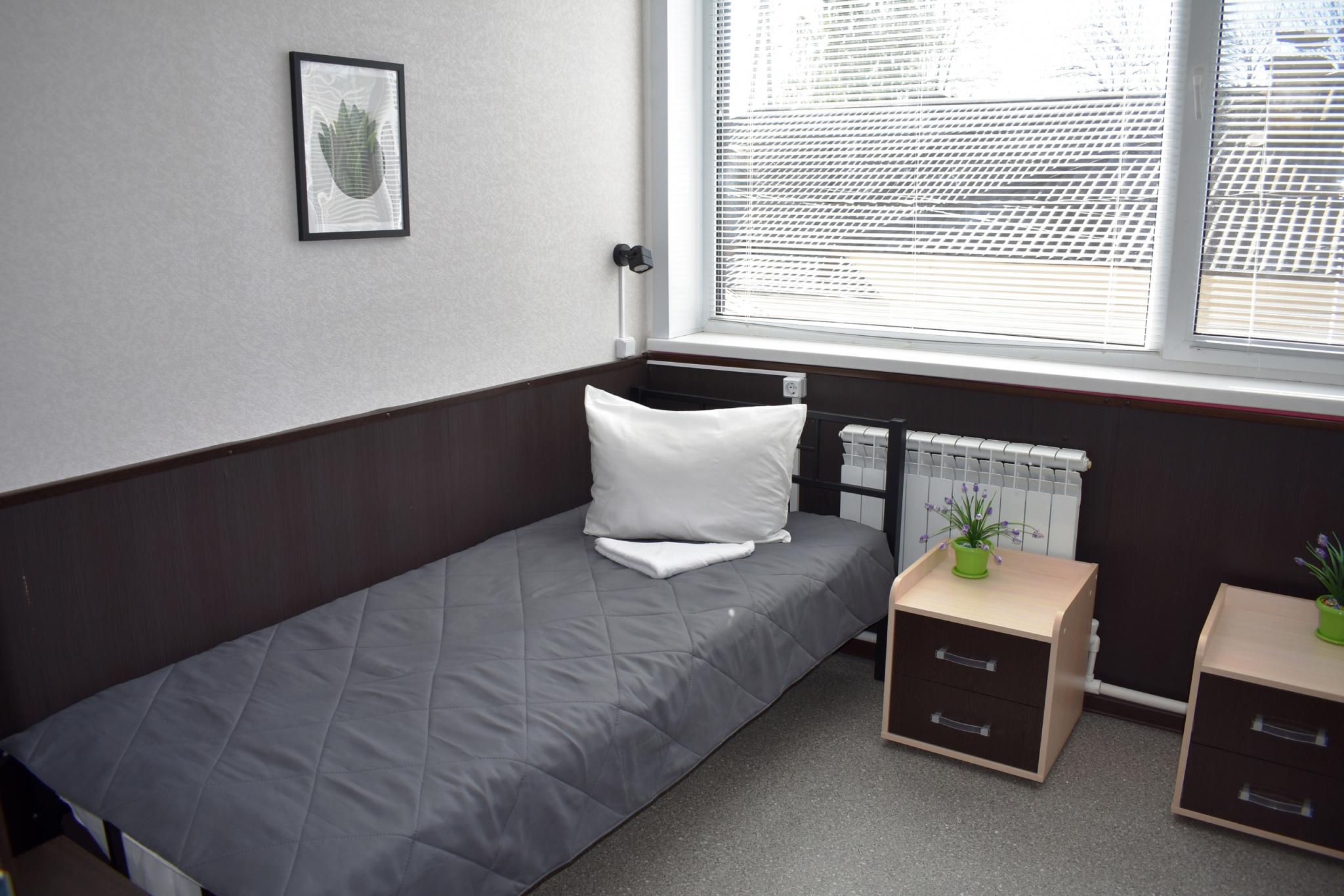 Фото Колибри