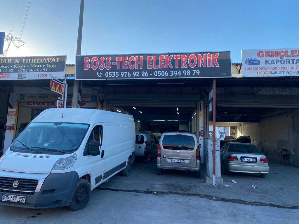Car service, auto repair Boss-Tech Elektronik, Izmir, photo
