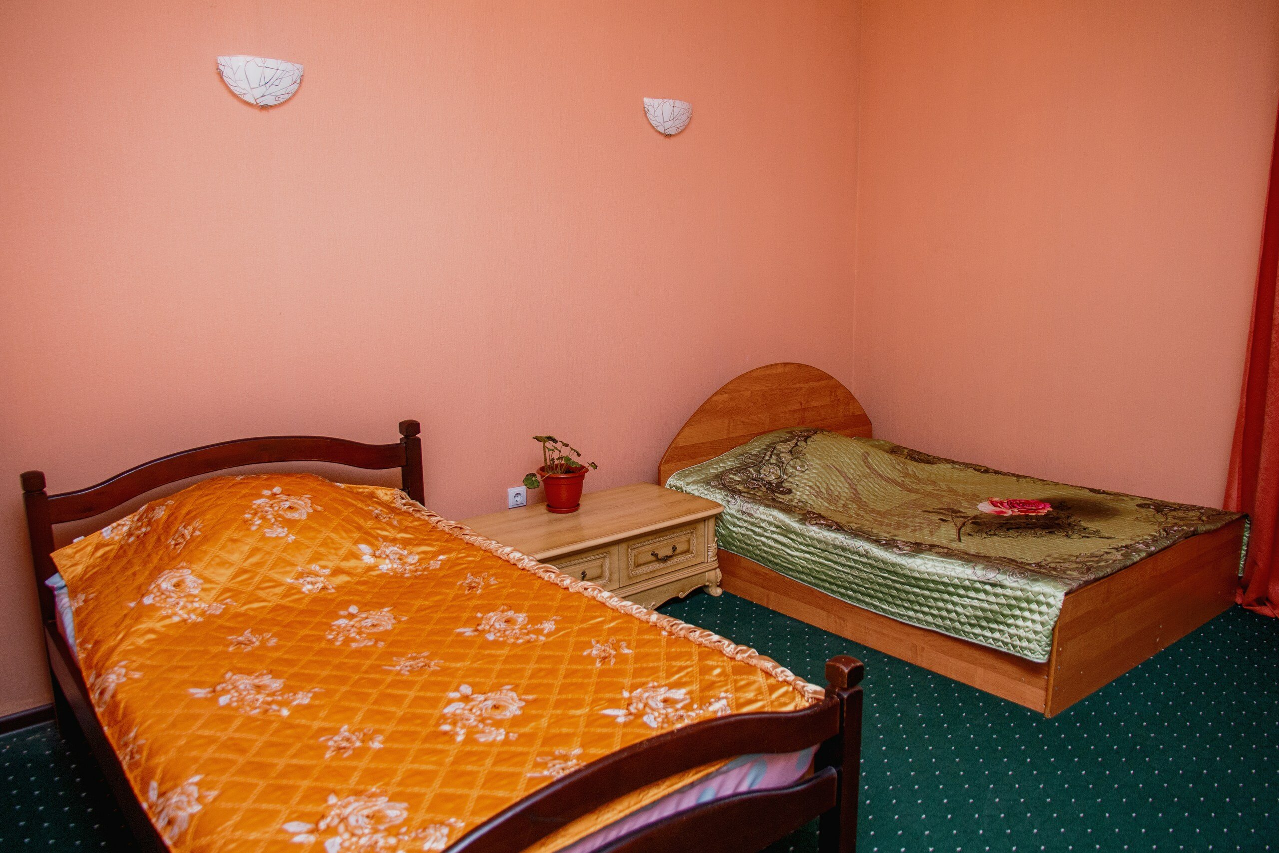 Фото Прованс