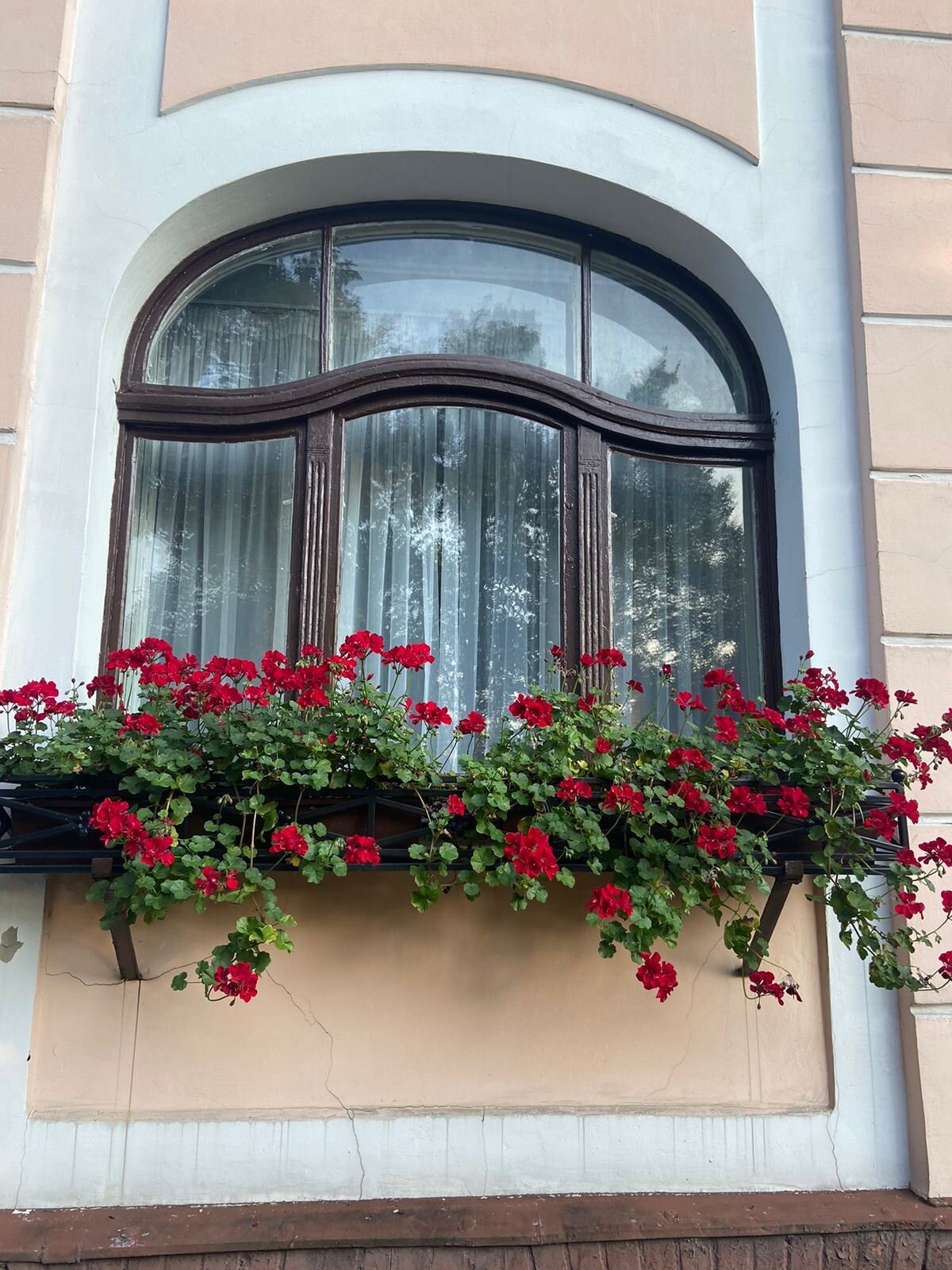 Фото Апартаменты Вилла Амалиенау