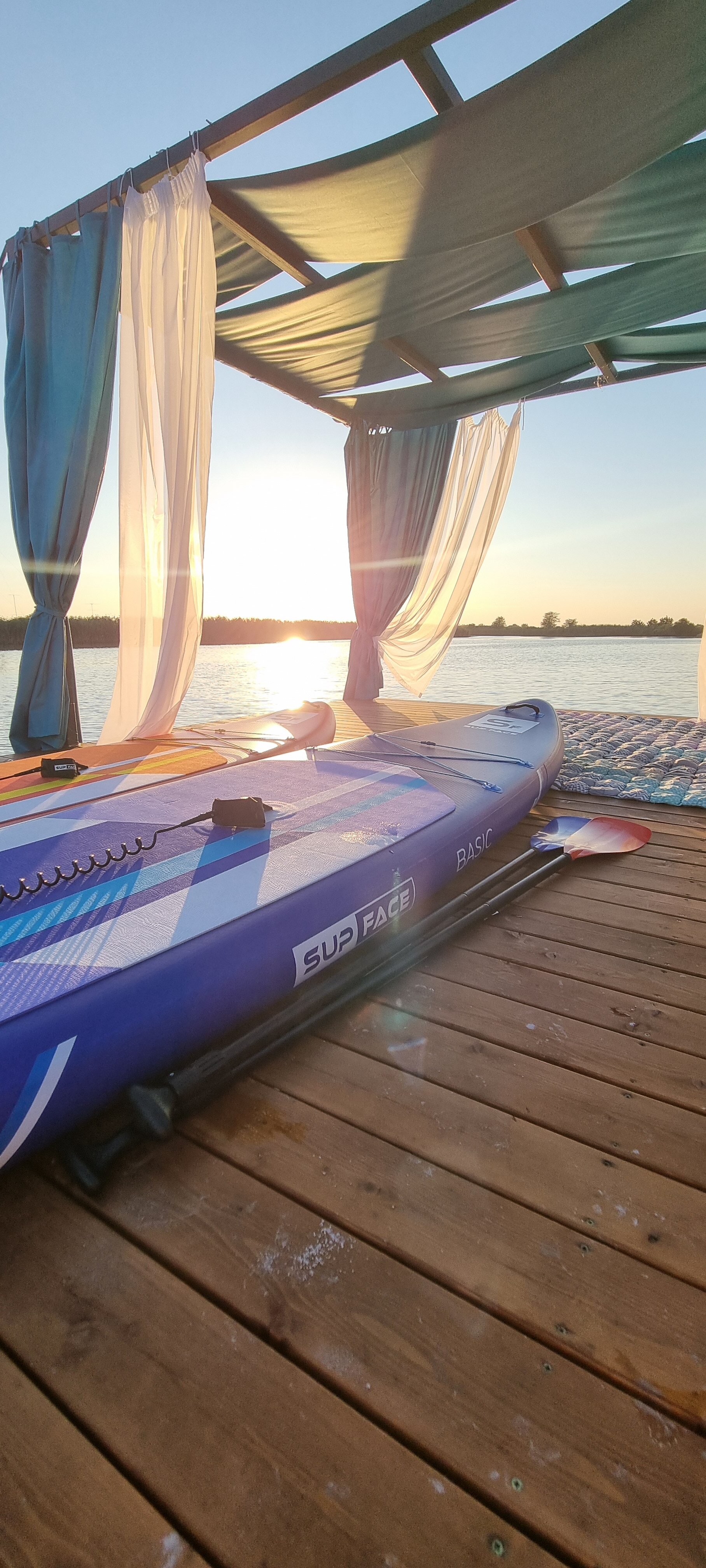 Фото Elephant Homd