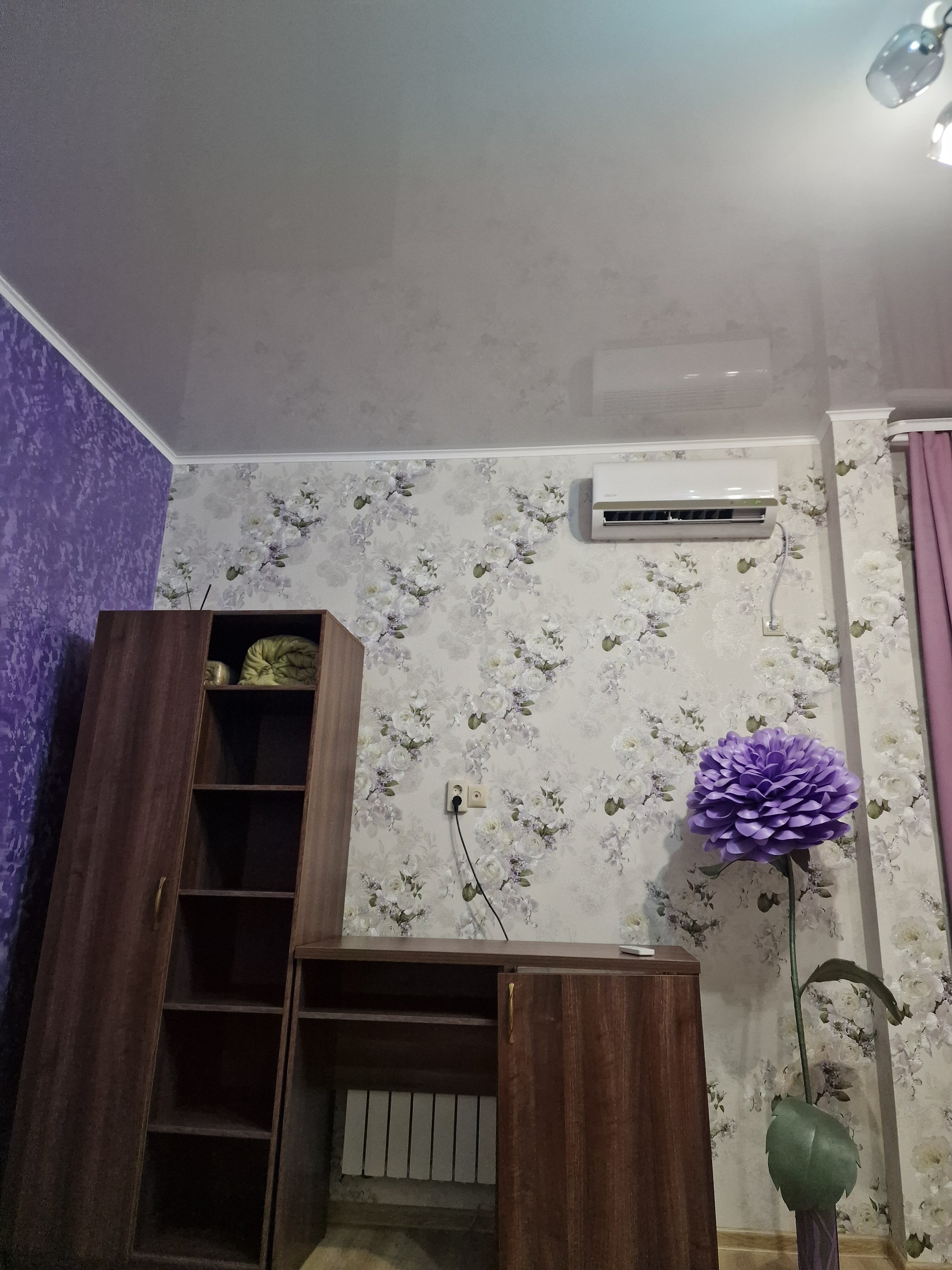 Фото Багира