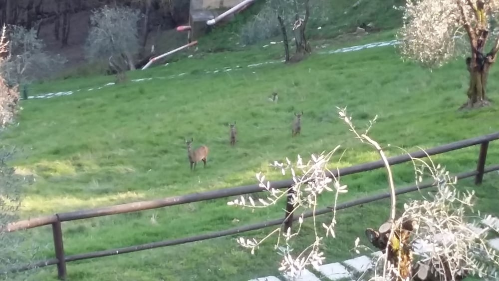 Фото Porta Romana