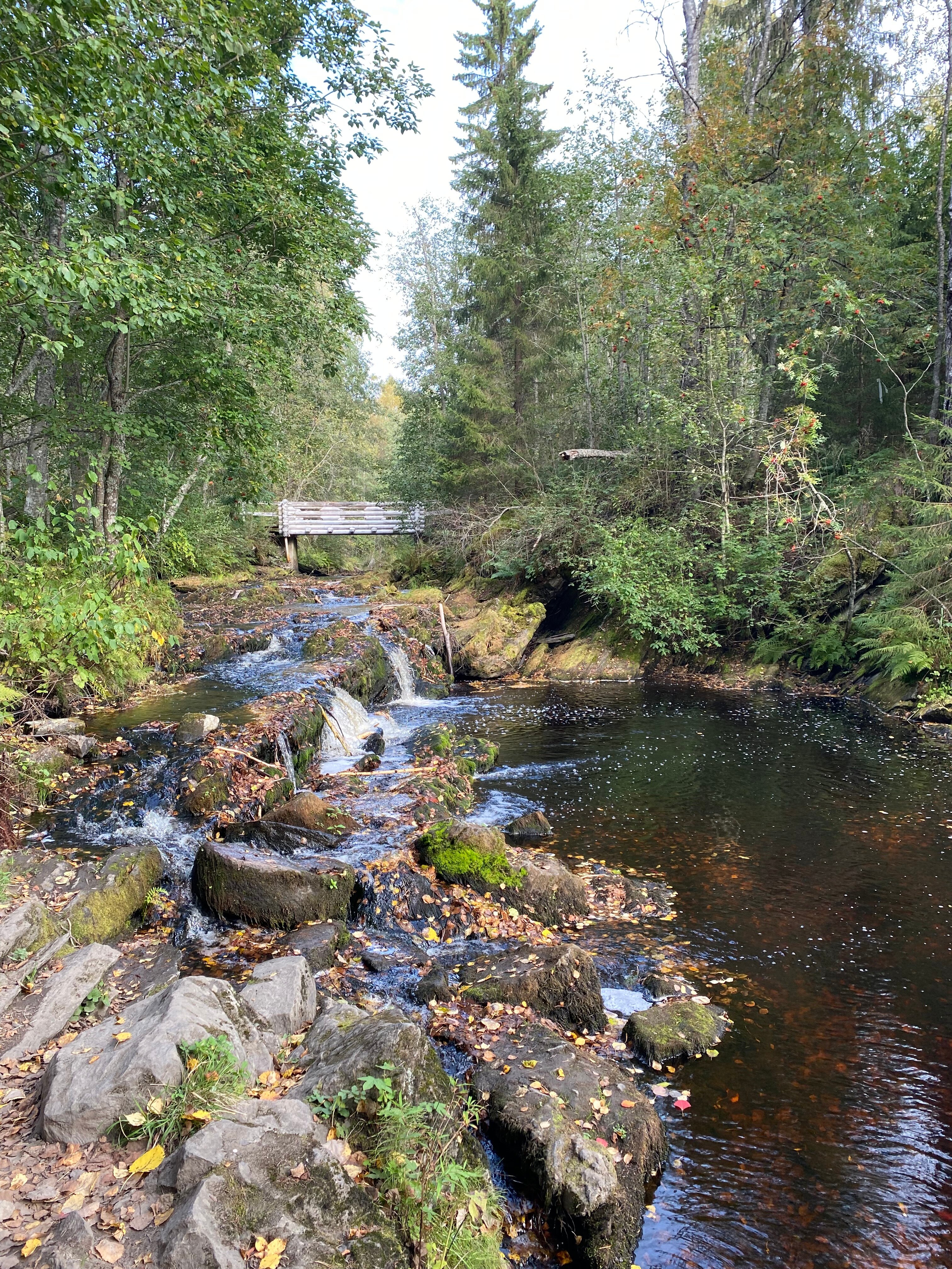 Фото Усадьба ДарЭли