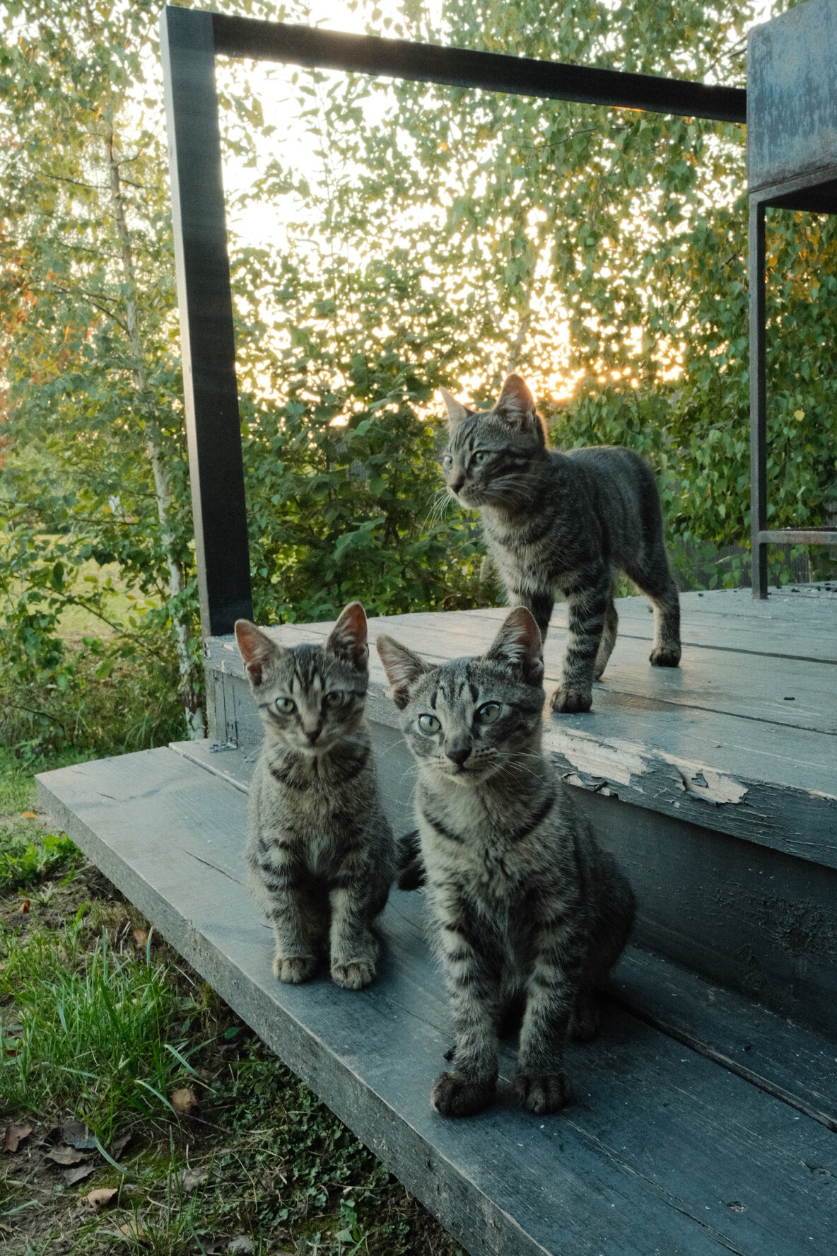 Фото Nomad Houses