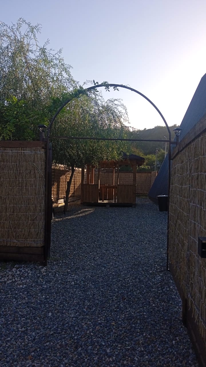 Фото Ёлки-Иголки