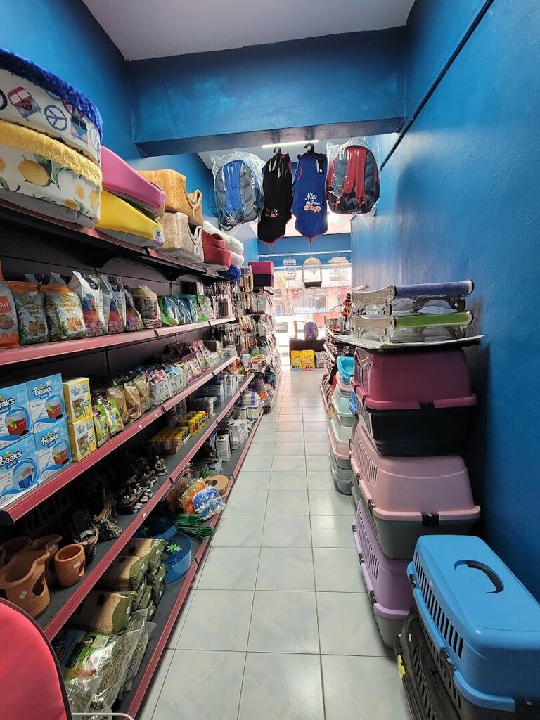Pet shop Pence Petshop, Istanbul, photo
