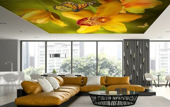 Hardware store Mim Dekor, Eskisehir, photo