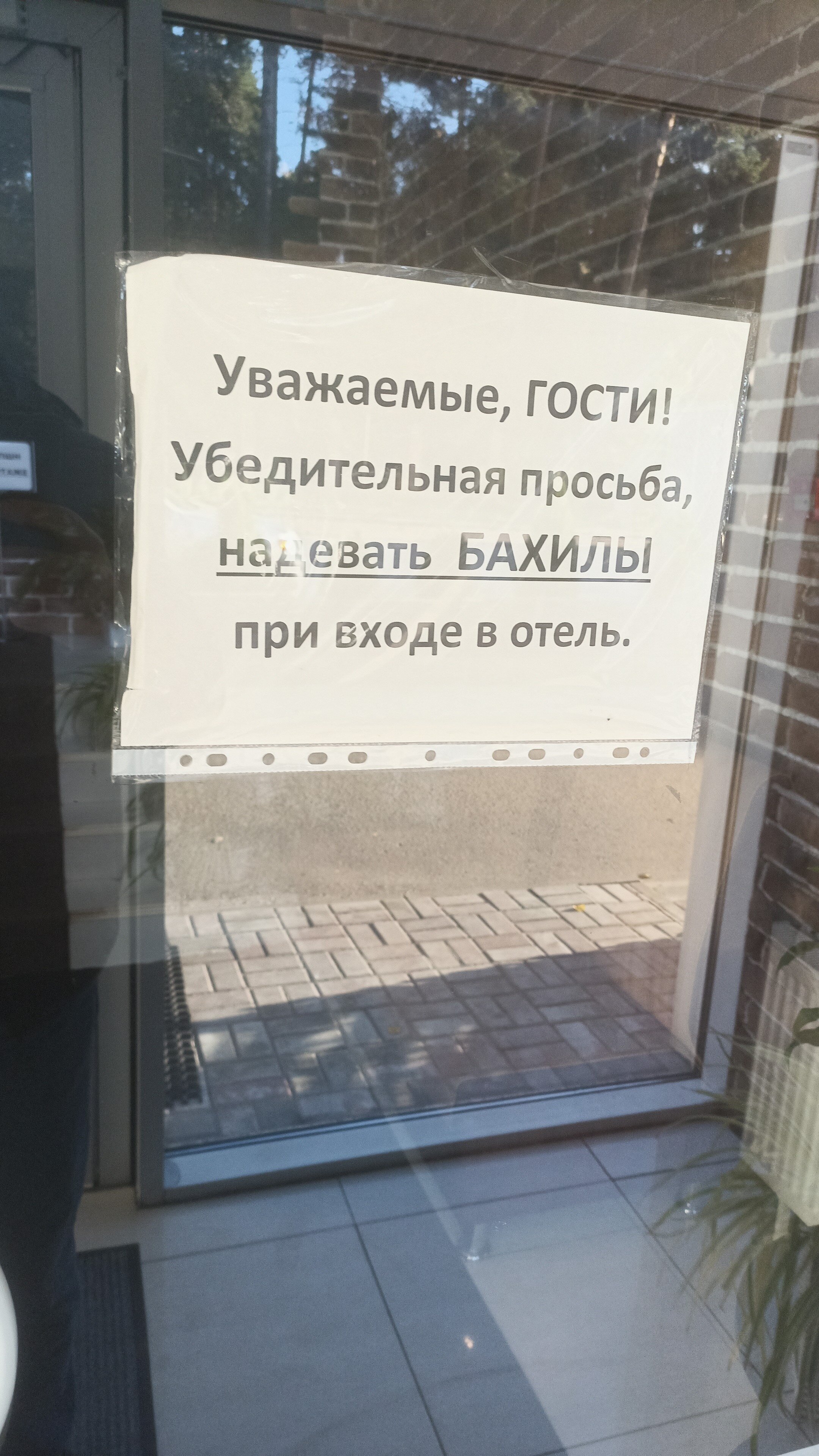 Фото Андерсен