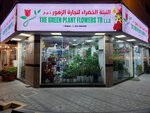 The Green Plant Flowers (University City Road, 399/1), flower shop