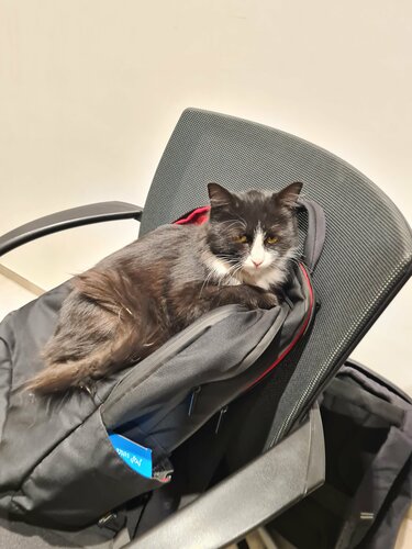 Keksa ayollar porno onlayn