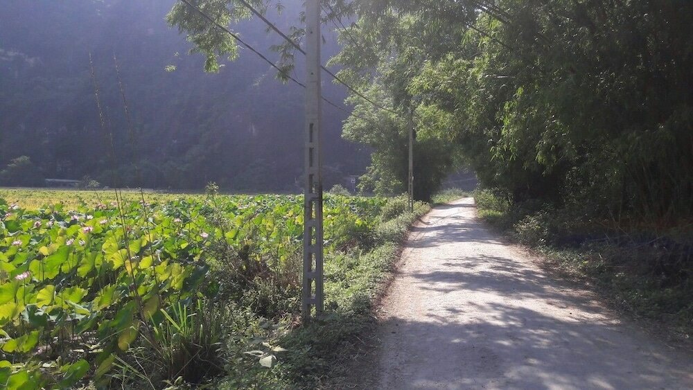 Фото Trang An River View Homestay