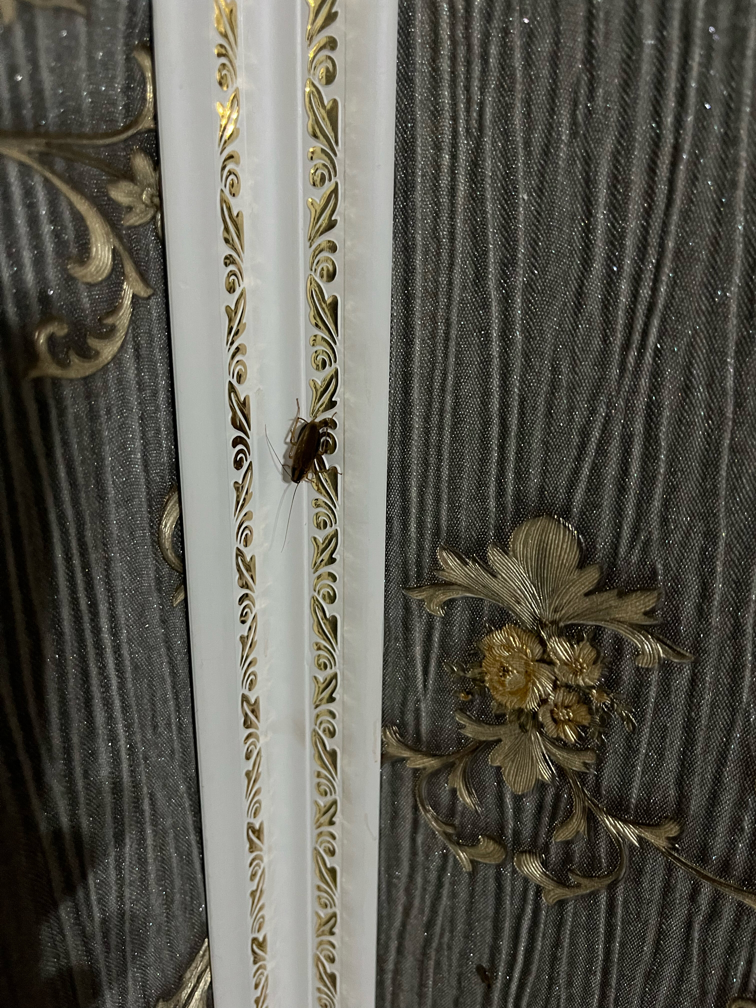 Фото Отель Кавказ