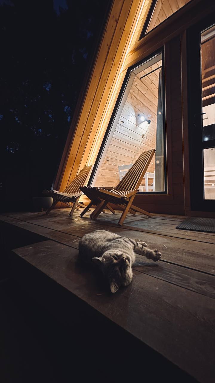 Фото Медвежий Угол