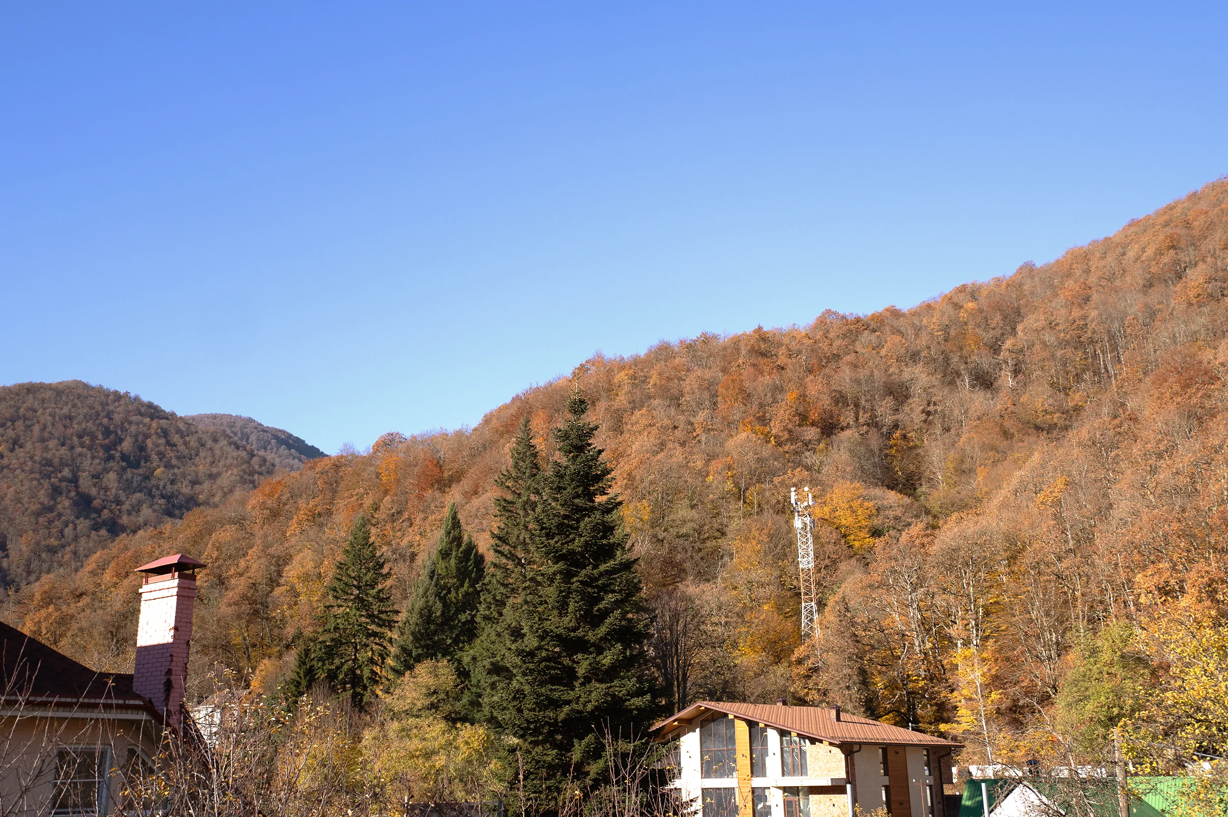 Фото Айсберг Редэнс