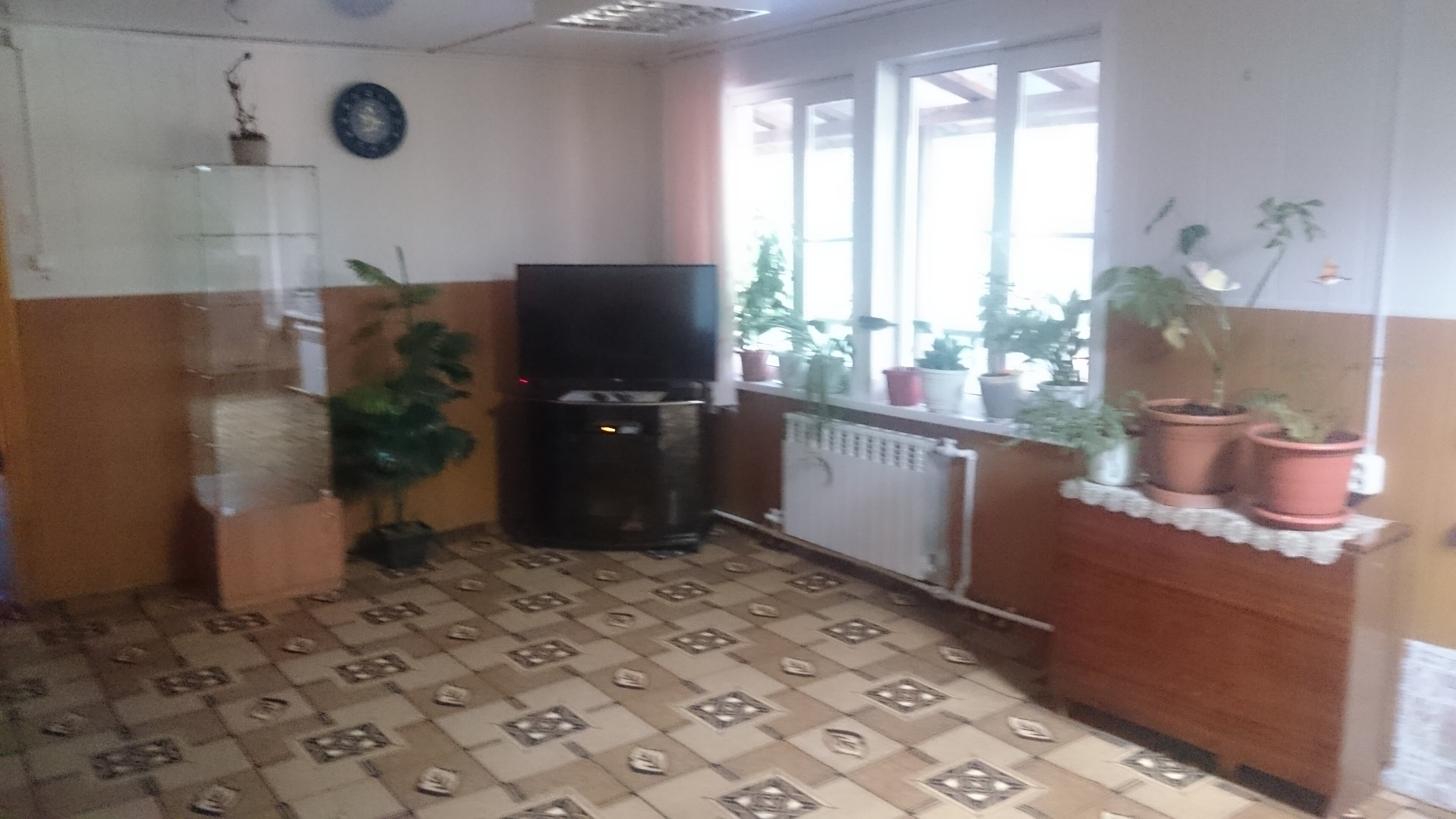 Фото Жемчужина Сухоны