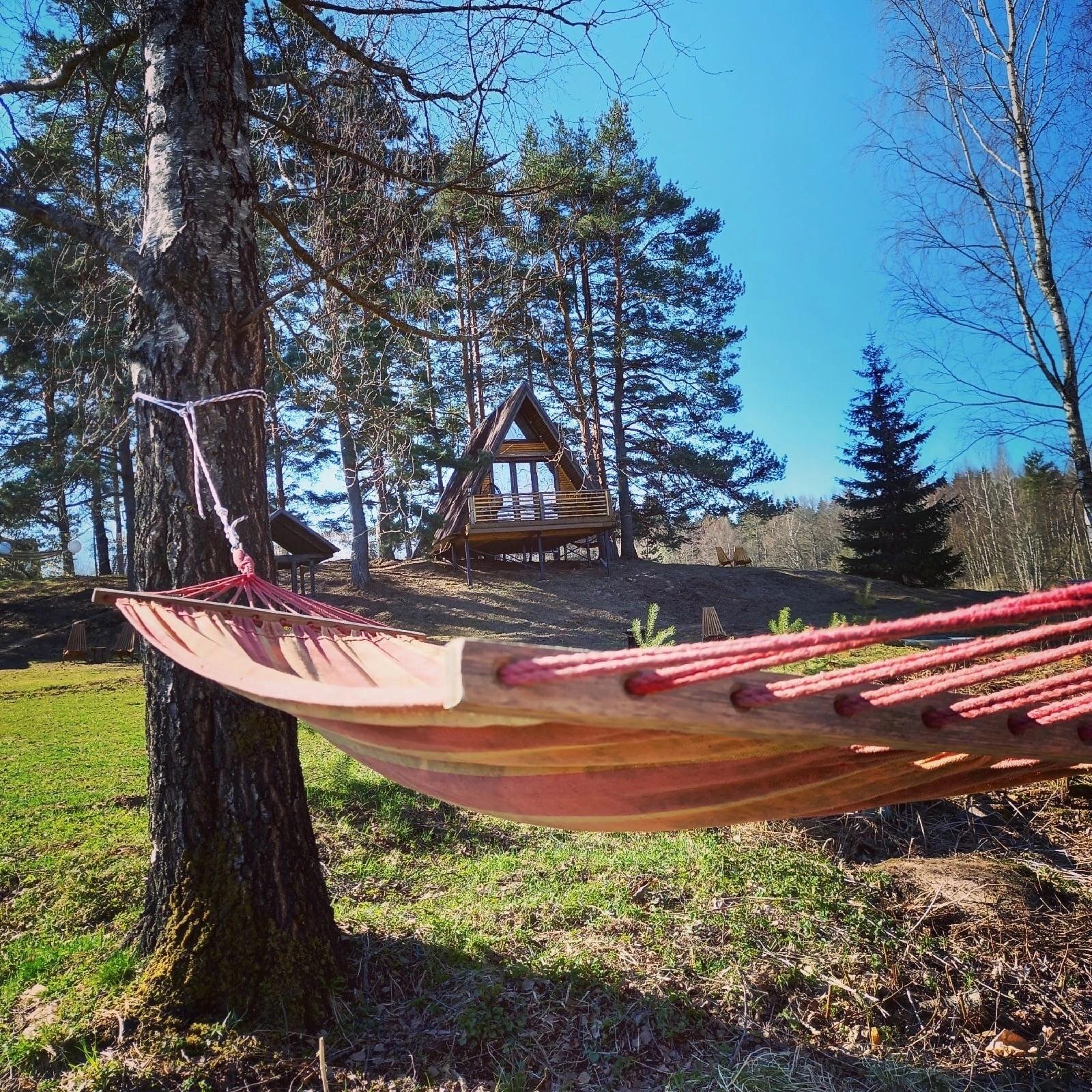 Фото Сосновая роща