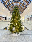 Elite-eli (Moscow, Novomoskovskiy Administrative Okrug, Kommunarka District, Kiyevskoye shosse, 23-y kilometr, 8с1), christmas trees and christmas decorations