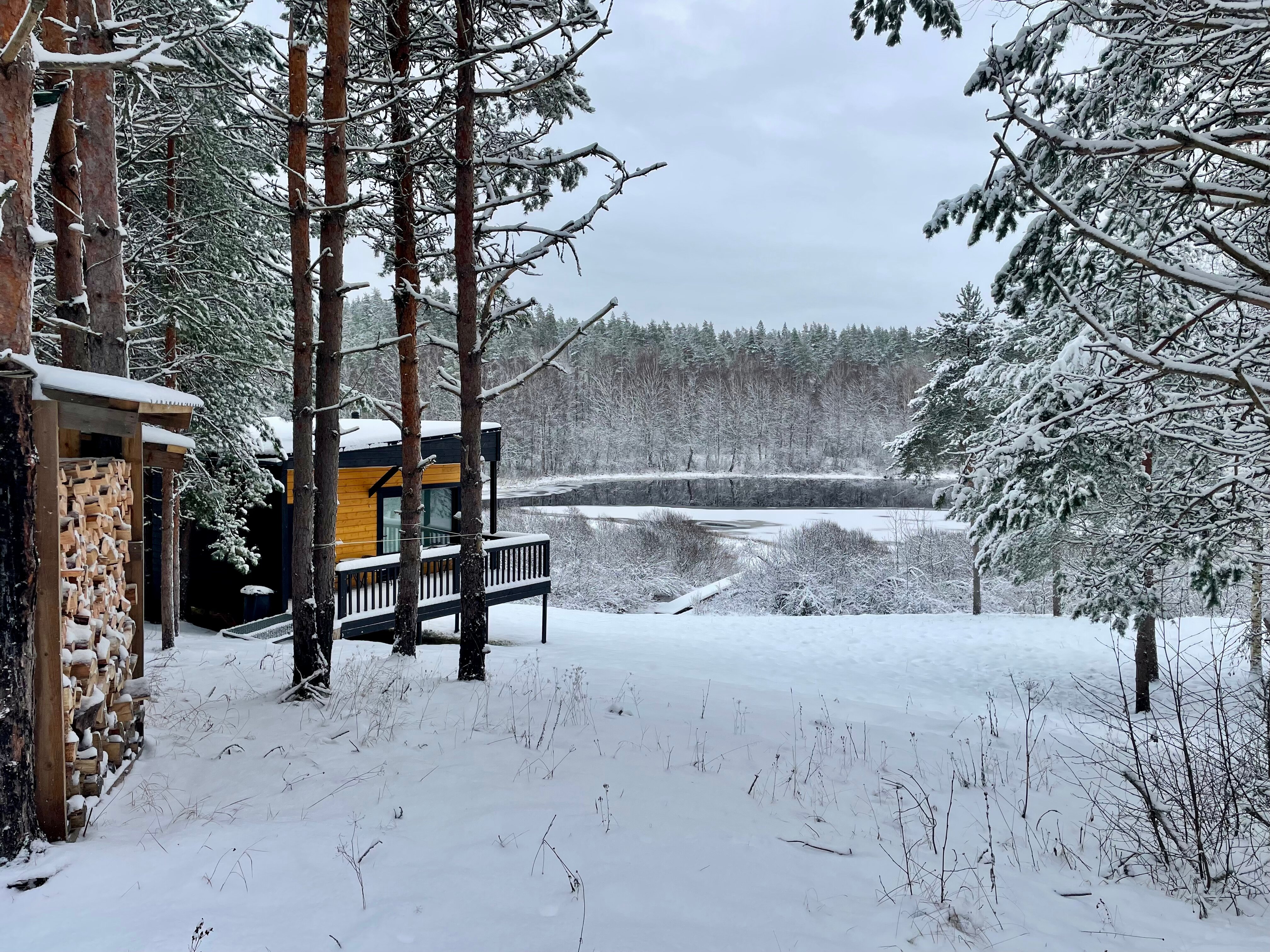 Фото Дом в лесу Холмово