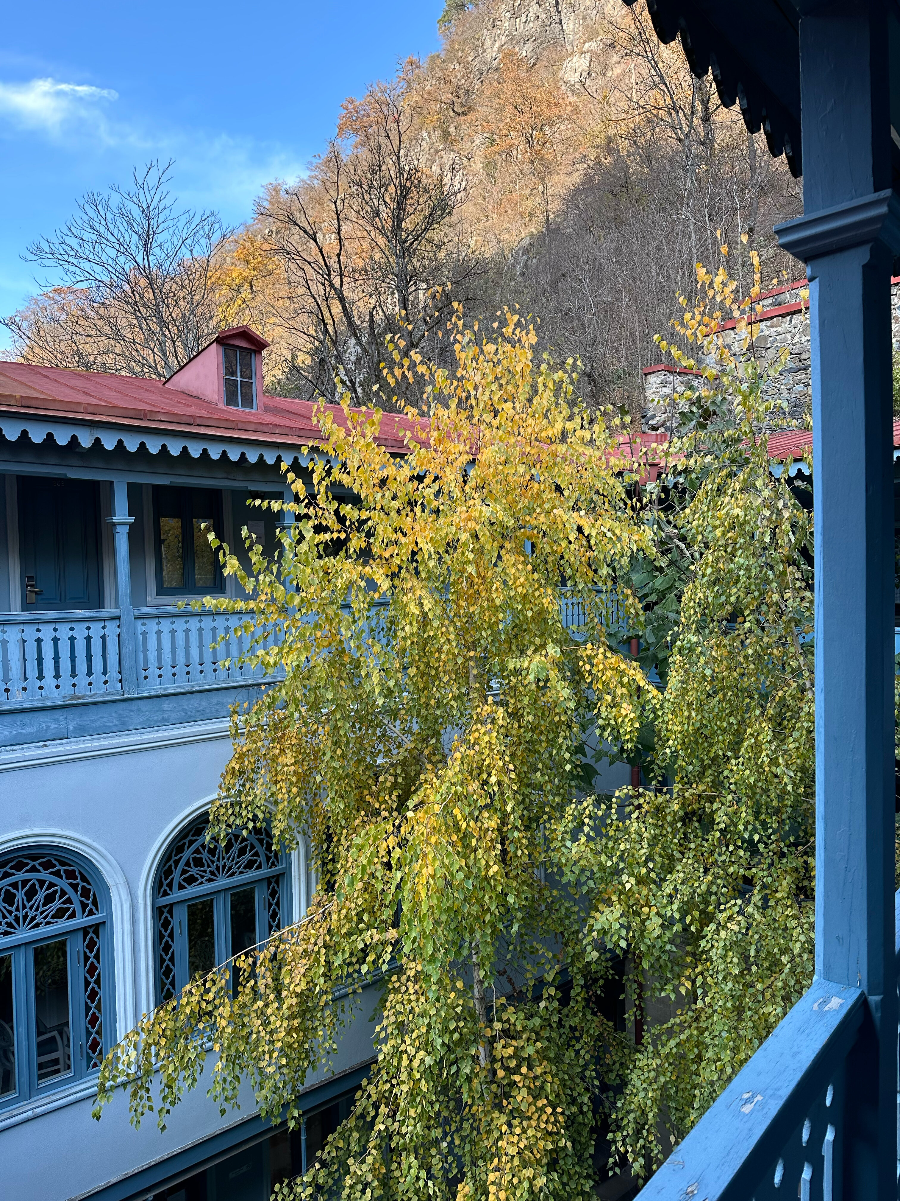 Фото Golden Tulip Borjomi Hotel