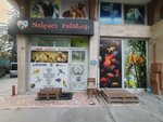 Nalcaci Petshop Aquarium and Bird Gallery (Konya, Selcuklu, Feritpasa Neighborhood, Nisantas Street, 27B), tienda de animales