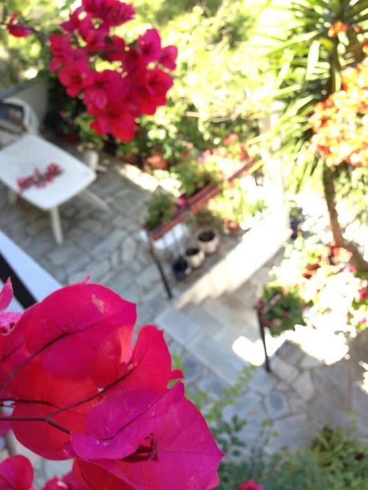 Фото Mimoza Studios