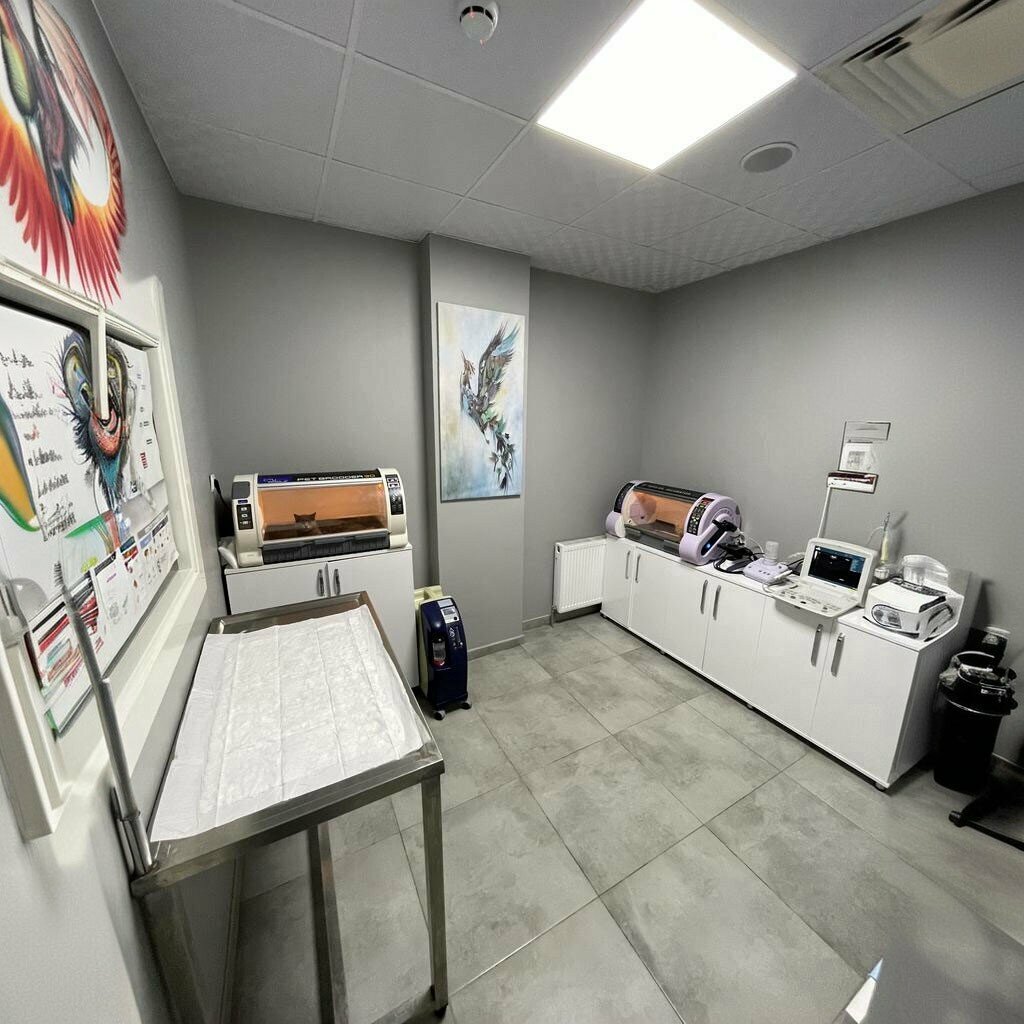 Veterinary clinic Noah's Ark Veterinary Clinic, Talas, photo