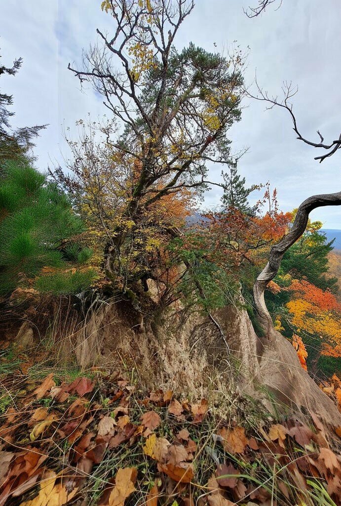 Landmark, attraction Savsat Fairy Chimneys, Savsat, photo