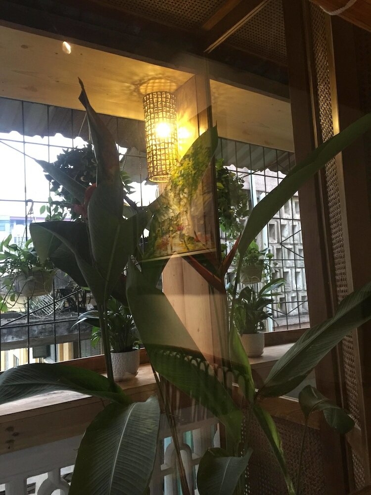 Фото A Green Home