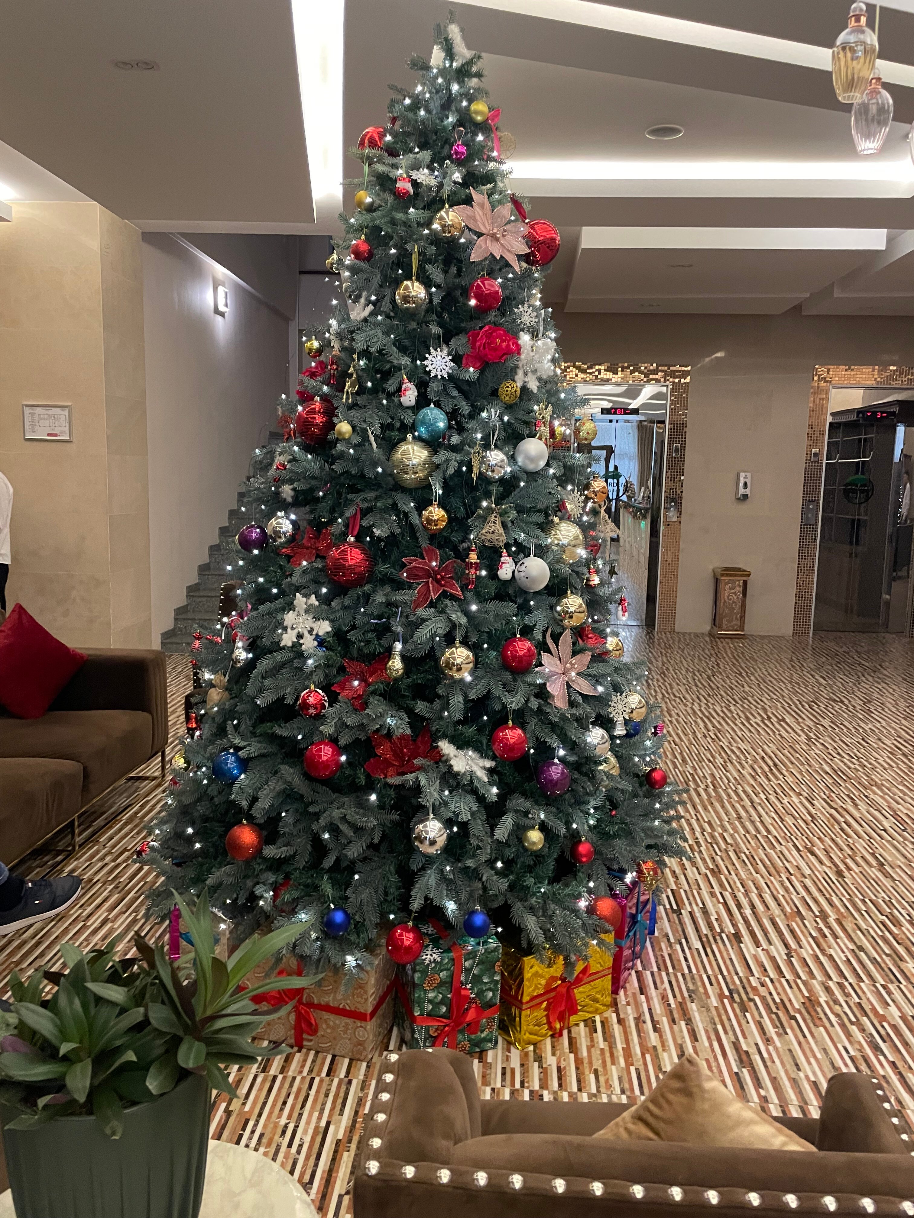 Фото Garden Hotel&Spa