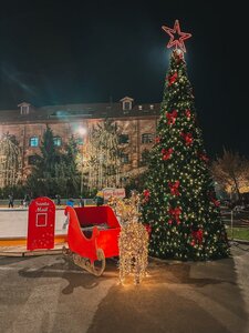 Гостиница Hotel Caro