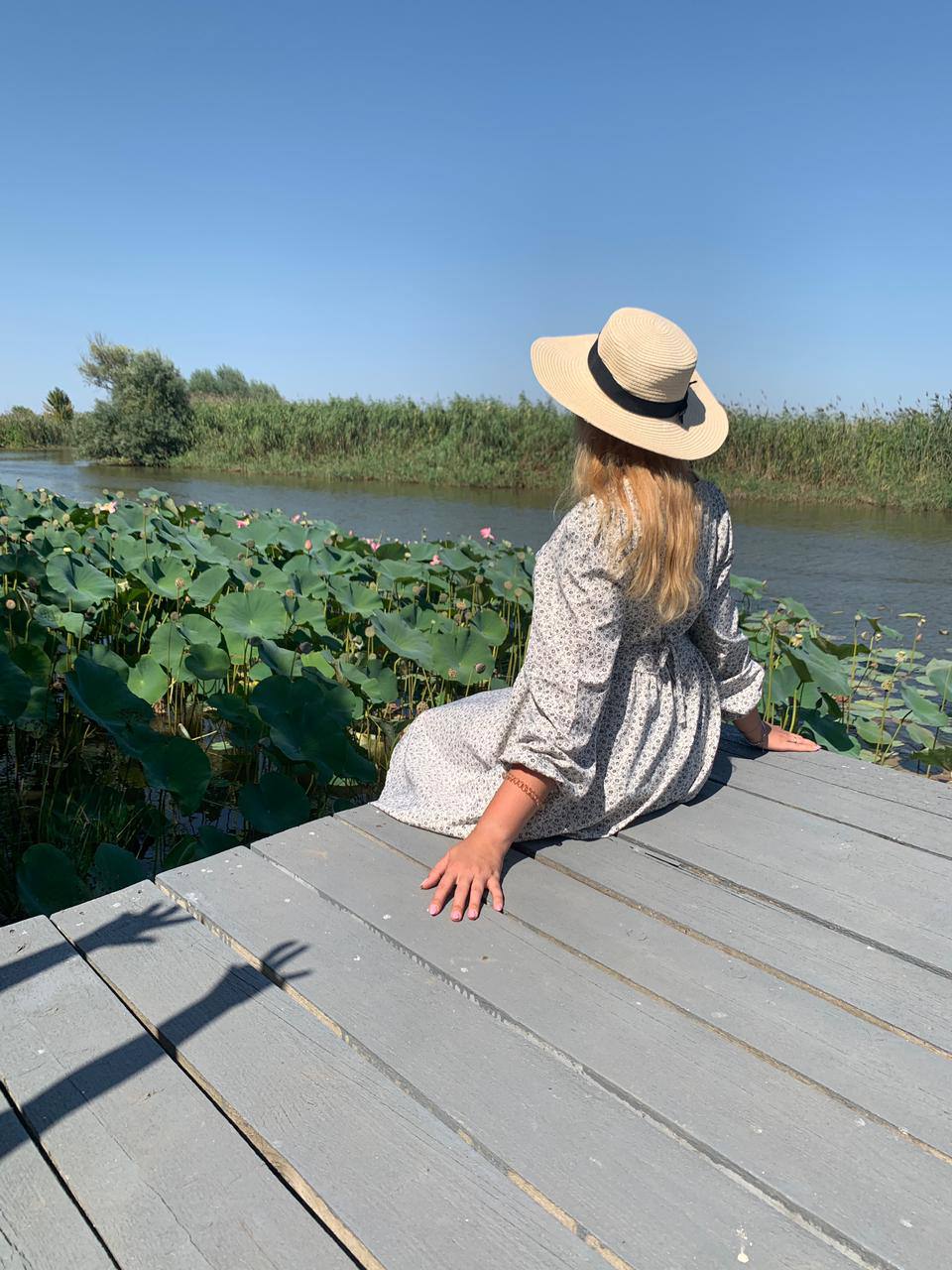 Фото Золотой Лотос