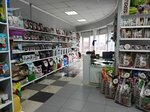 Зоомаркет (rabochiy posyolok Razumnoye, Belgina Street, 11А), pet shop