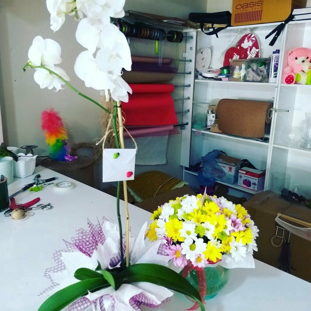 Primary school Yarbasi Primary School, Idil, photo