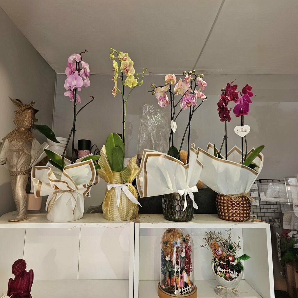 Flower shop Demircan Cicekcilik, Kozlu, photo