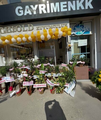 Efe Gold Kuyumculuk Fotoğraf 1