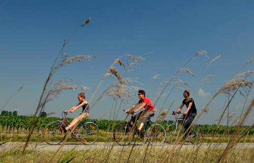 Фото Hotel Shamon