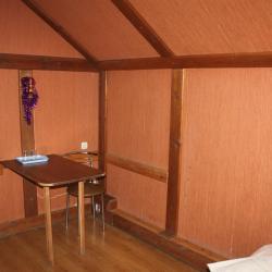 Фото Эдельвейс