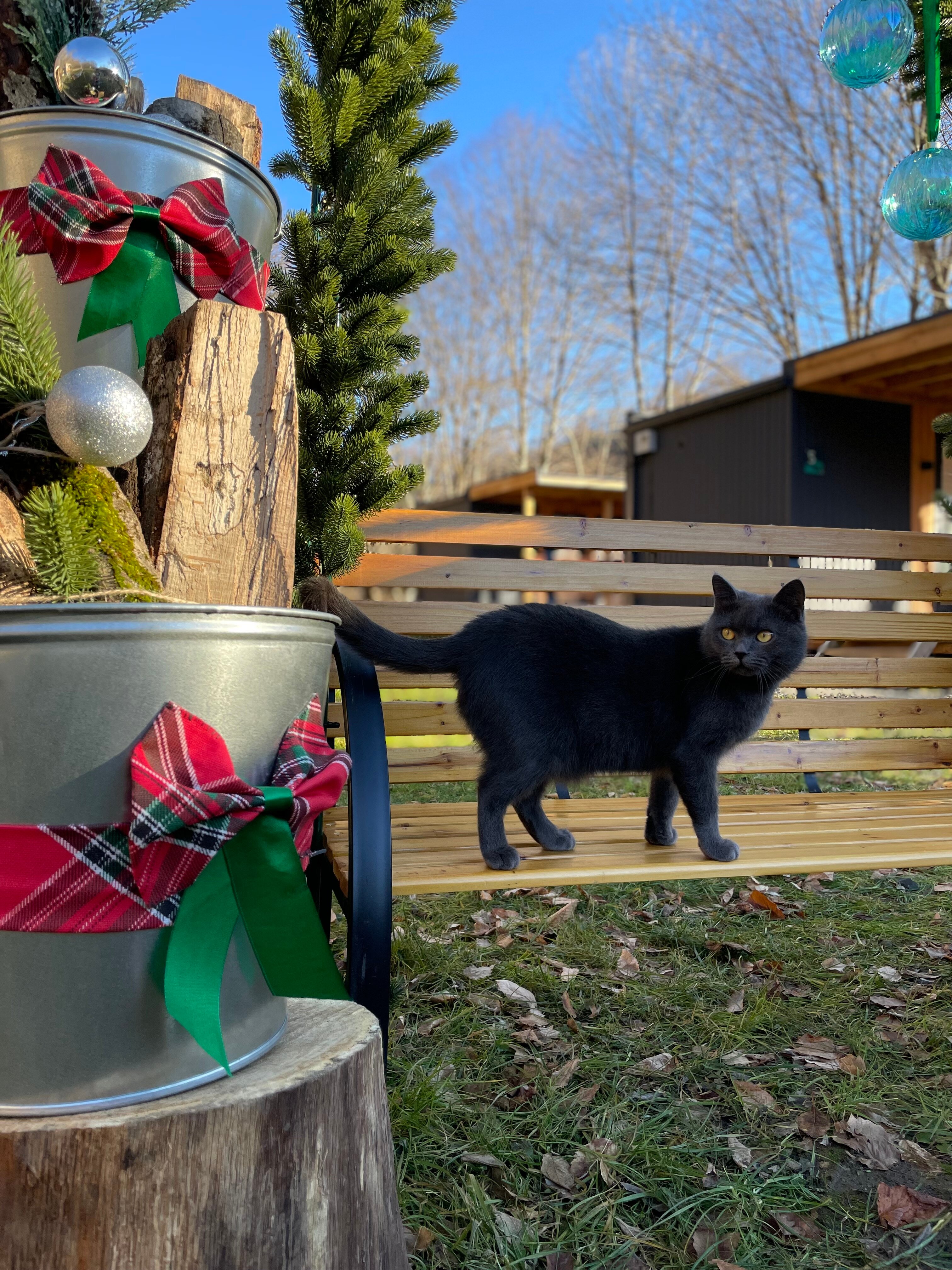 Фото Высокий берег