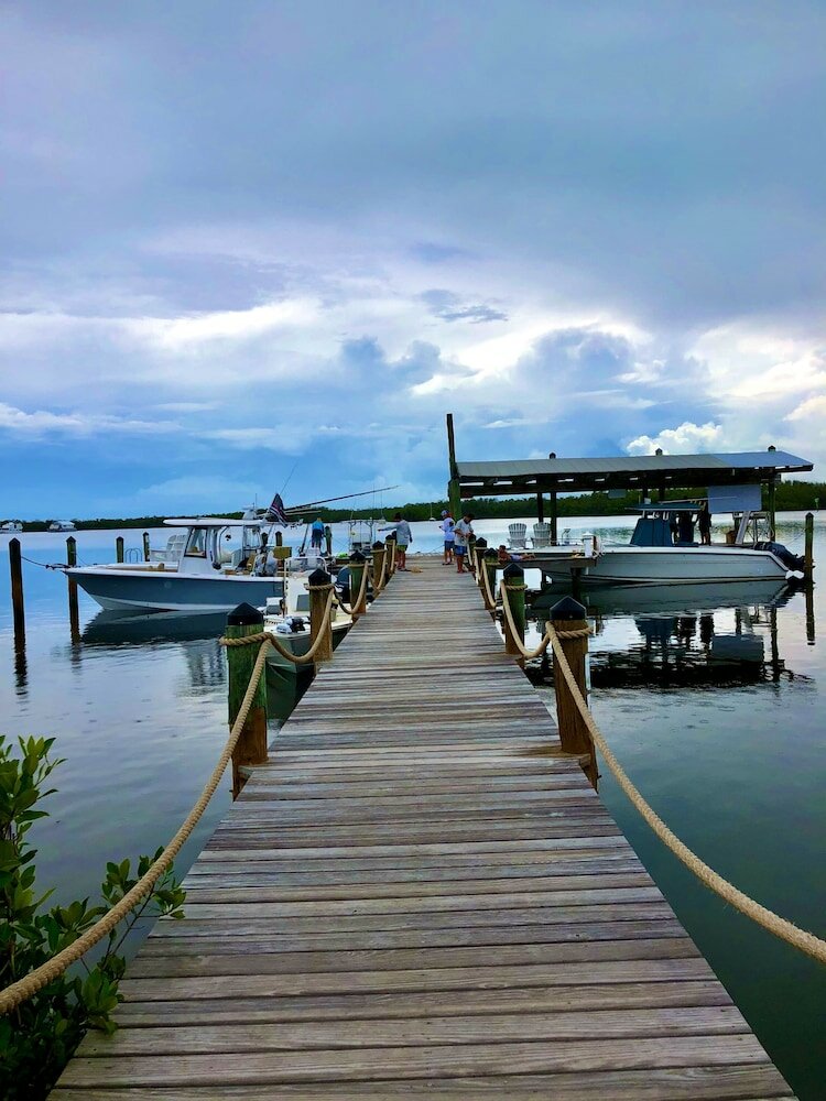 Фото Coconut Palm Inn