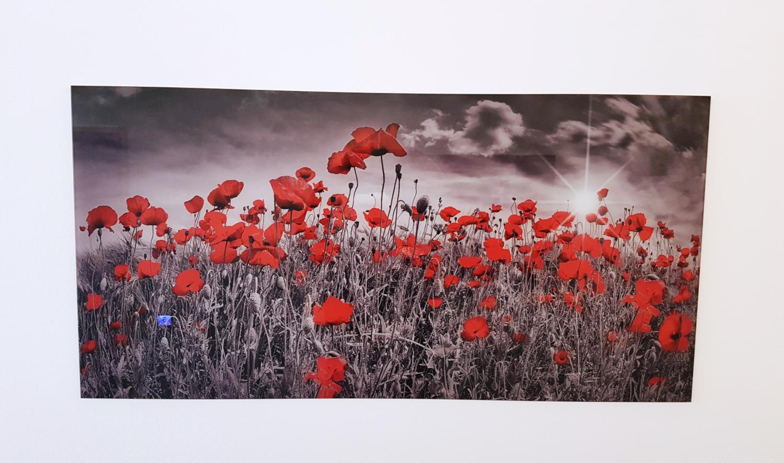 Фото Hotel Garni Jägerhof